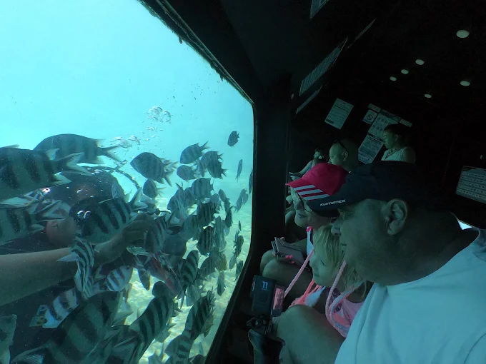رحلة الغواصة بانوراما في مكادي | Panorama Submarine in Makadi