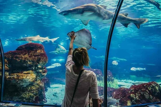 جراند اكواريوم الغردقة | Grand Aquarium