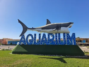 جراند اكواريوم الغردقة | Grand Aquarium