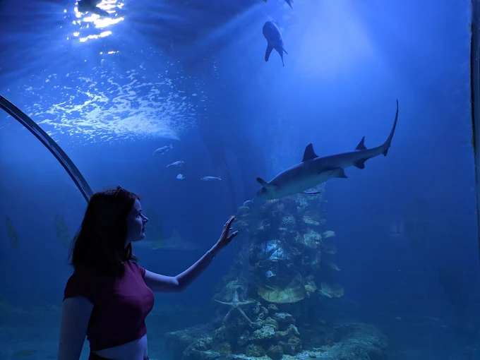 جراند اكواريوم الغردقة | Grand Aquarium