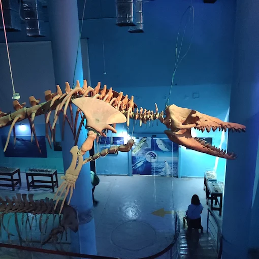 جراند اكواريوم الغردقة | Grand Aquarium
