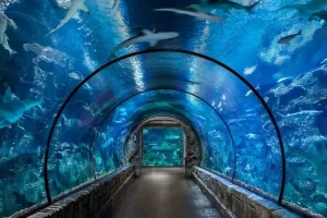 جراند اكواريوم الغردقة | Grand Aquarium