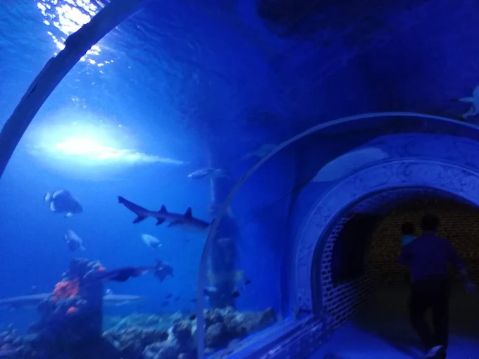 جراند اكواريوم الغردقة | Grand Aquarium