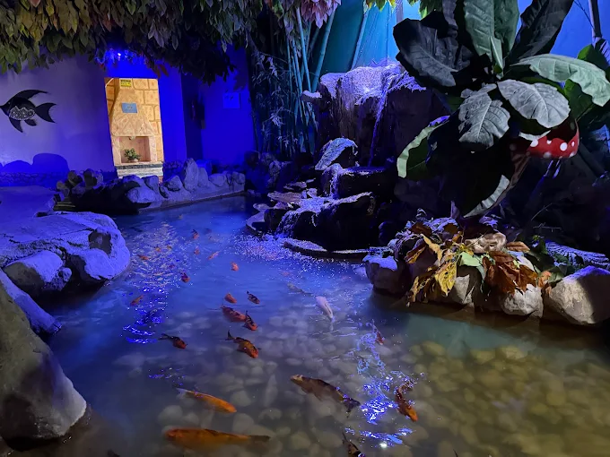 جراند اكواريوم الغردقة | Grand Aquarium