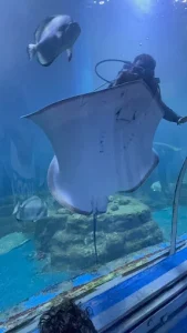 جراند اكواريوم الغردقة | Grand Aquarium