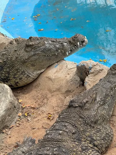 جراند اكواريوم الغردقة | Grand Aquarium