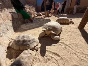 جراند اكواريوم الغردقة | Grand Aquarium