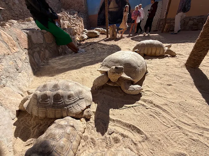 جراند اكواريوم الغردقة | Grand Aquarium