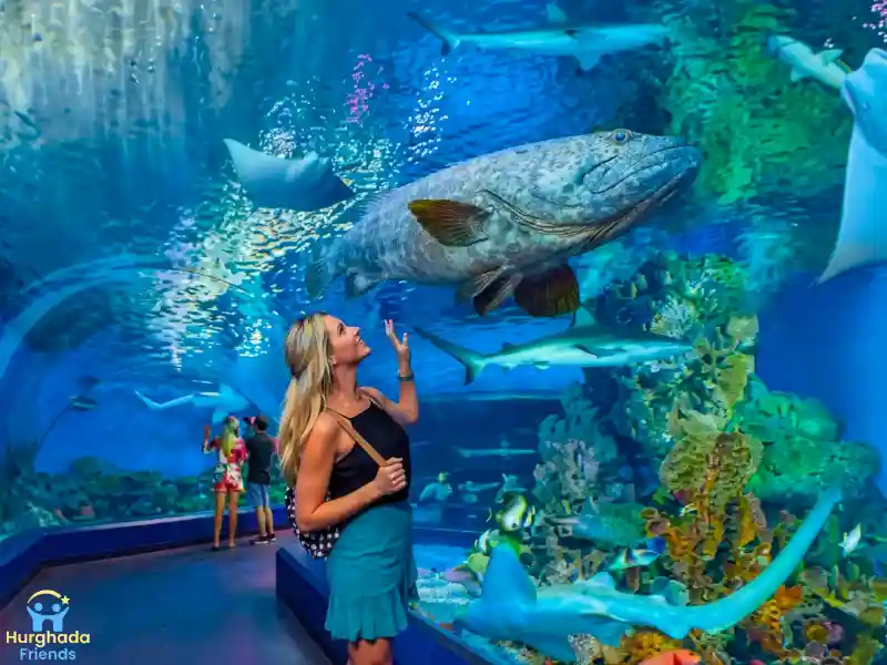 جراند اكواريوم الغردقة | Grand Aquarium