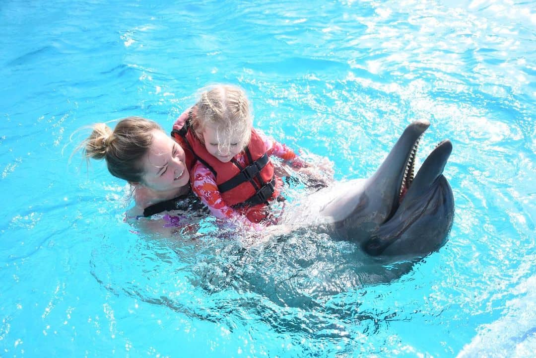 عرض الدلافين في الغردقة – Dolphin Show Hurghada تجربة عائلية مميزة