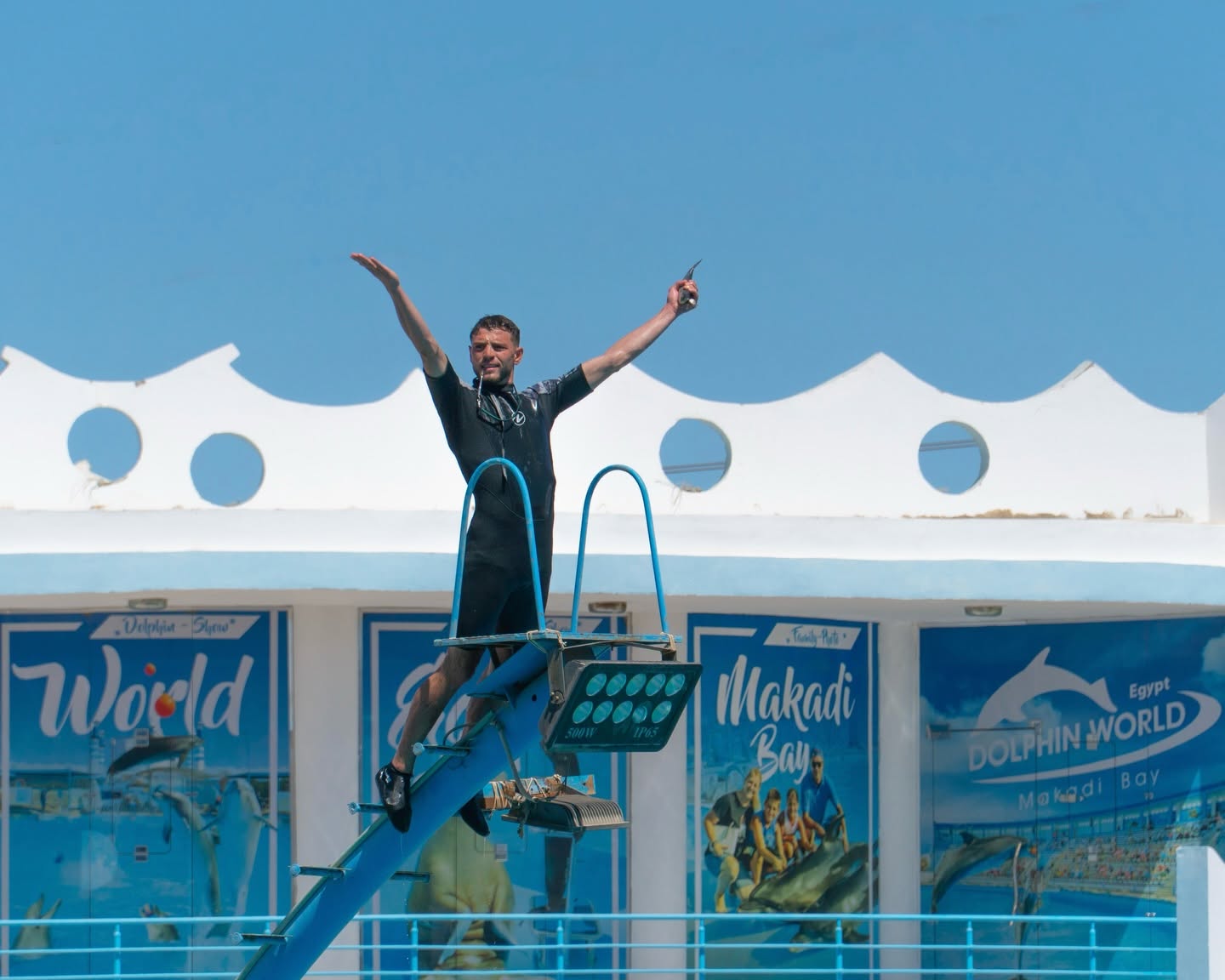 عروض الدولفين في الغردقة | Dolphin Show Hurghada