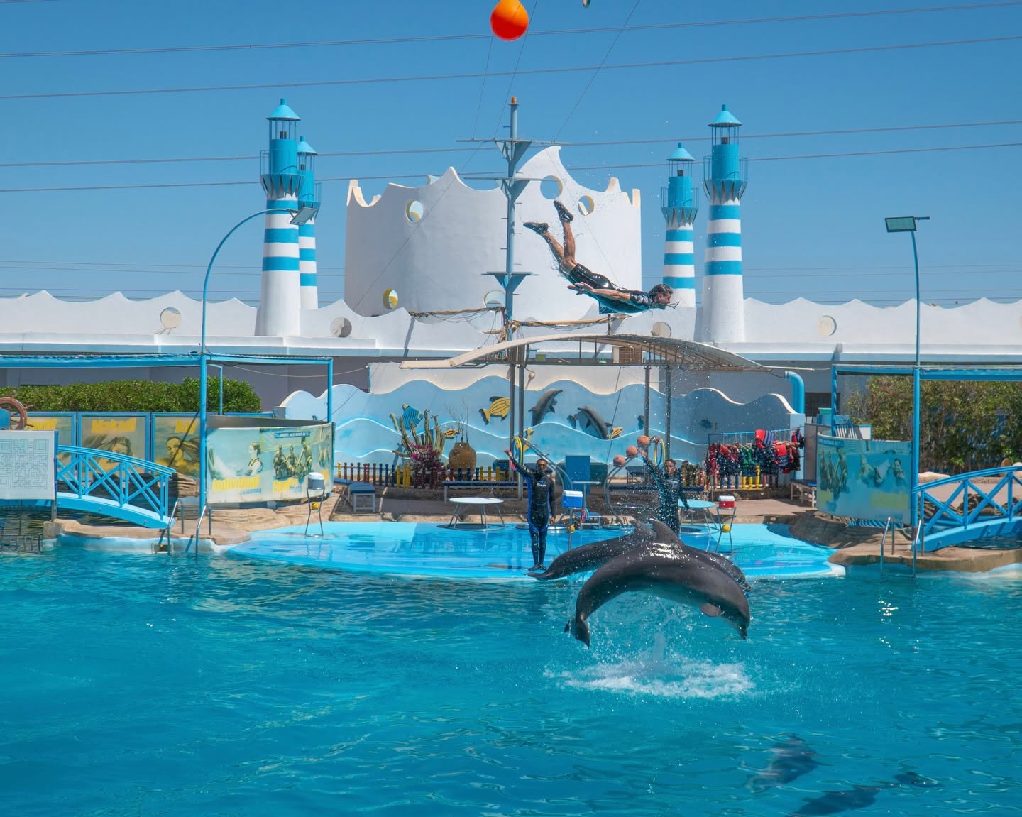Dolphin Show Hurghada