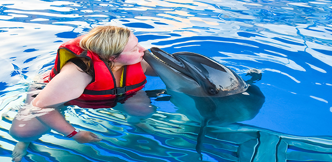 عروض الدولفين في الغردقة | Dolphin Show Hurghada