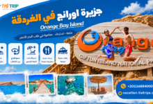 رحلة جزيرة اورانج | Orange Bay Island