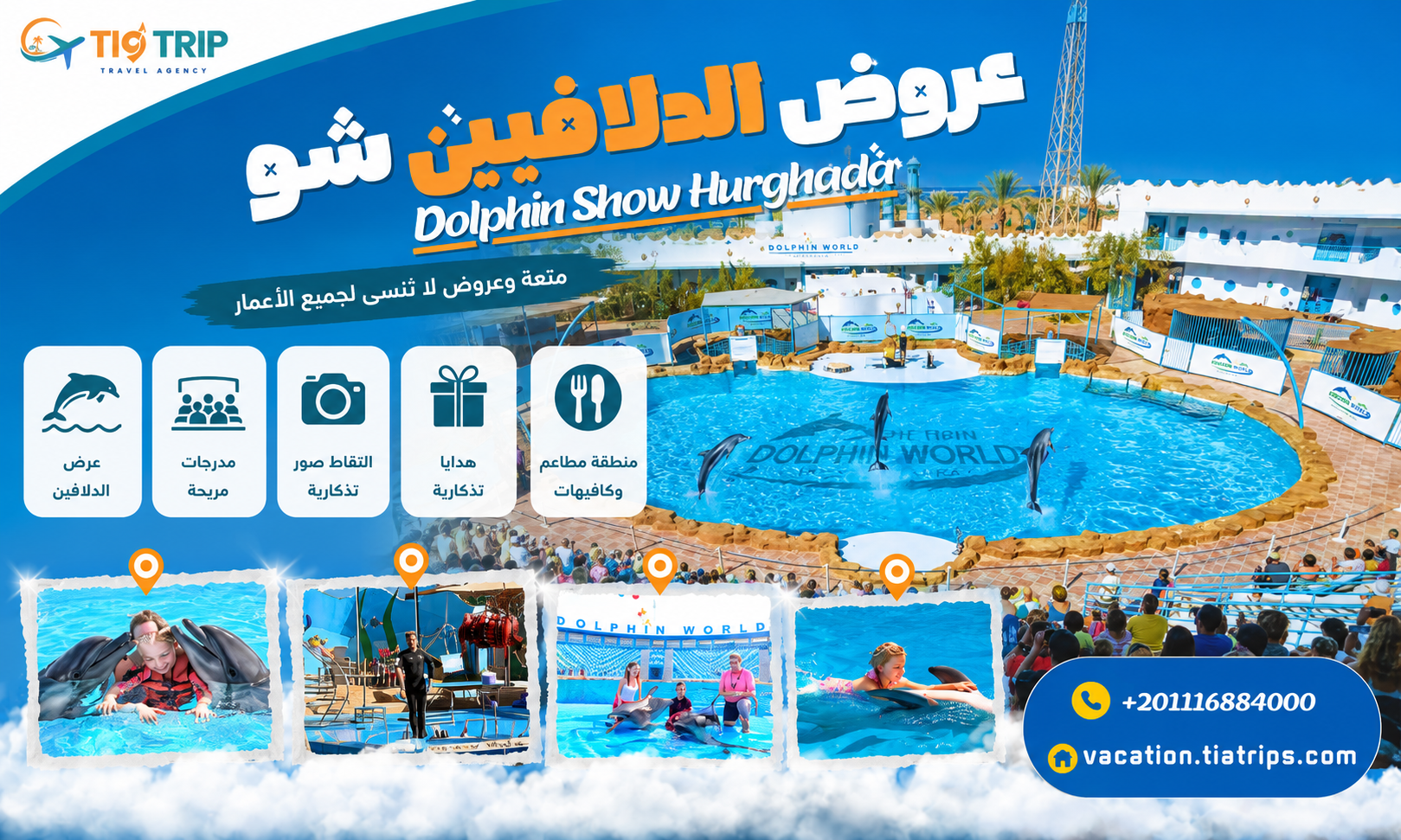 عروض الدولفين في الغردقة | Dolphin Show Hurghada