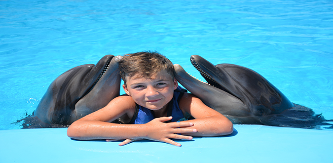 عروض الدولفين في الغردقة | Dolphin Show Hurghada