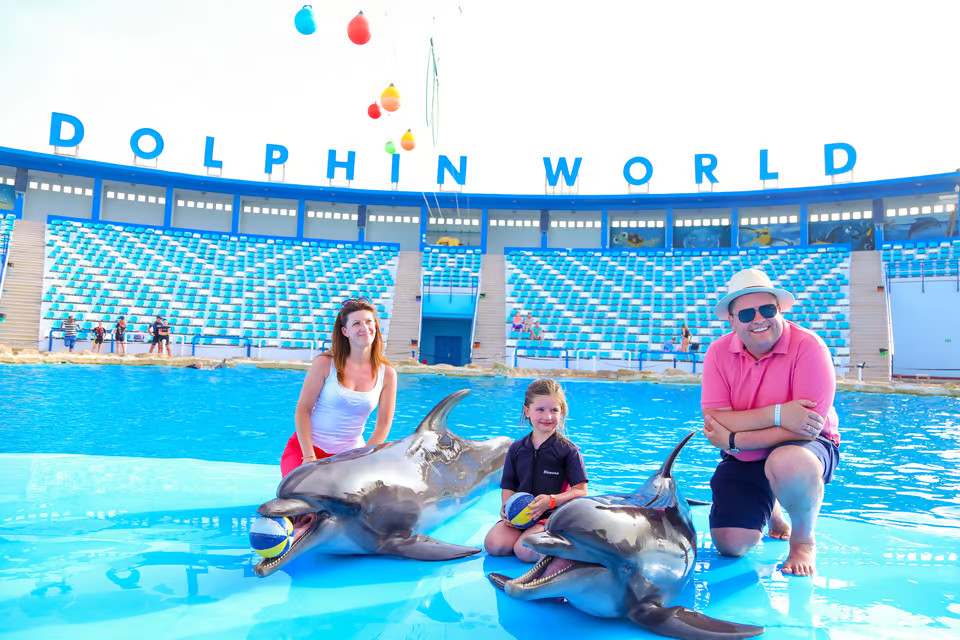 عروض الدولفين في الغردقة – Dolphin Show Hurghada