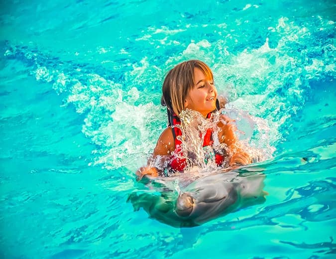 Dolphin Show Hurghada تجربة عائلية مميزة