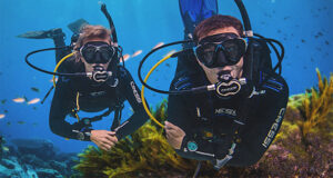 الحياة البحرية والشعاب المرجانية – رحلة الدايفينج في الغردقة