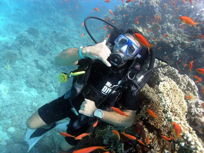 رحلة غواصة سى سكوب في الغردقة -Seascope Submarine In Hurghada