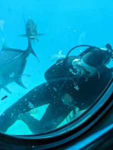 رحلة غواصة السندباد في الغردقة | Sindbad Submarine Hurghada