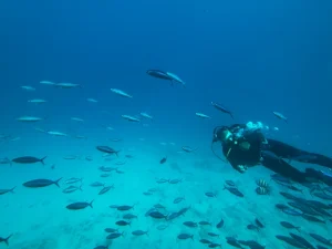 رحلة غواصة السندباد في الغردقة | Sindbad Submarine Hurghada