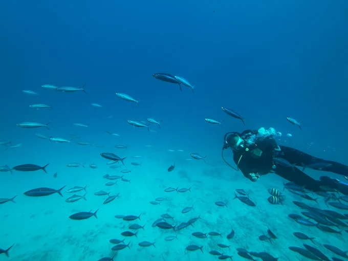 رحلة غواصة السندباد في الغردقة | Sindbad Submarine Hurghada