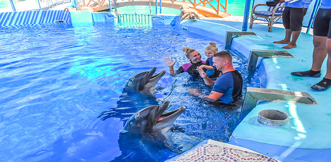 عروض الدولفين في الغردقة | Dolphin Show Hurghada