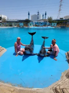 عروض الدولفين في الغردقة | Dolphin Show Hurghada