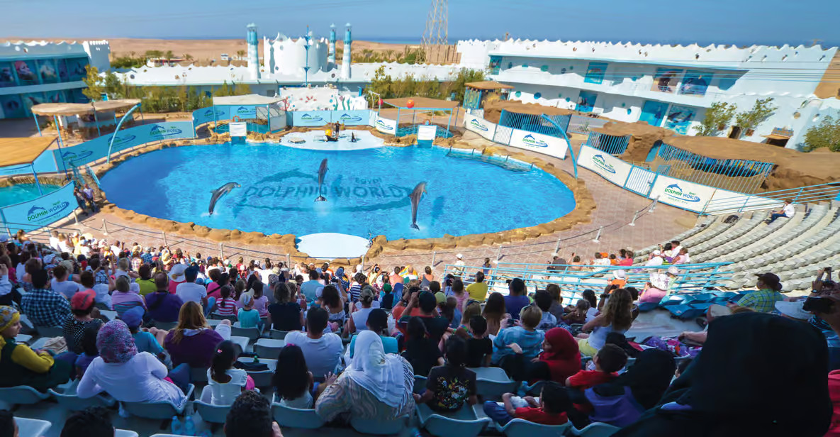 عروض الدولفين في الغردقة – Dolphin Show Hurghada
