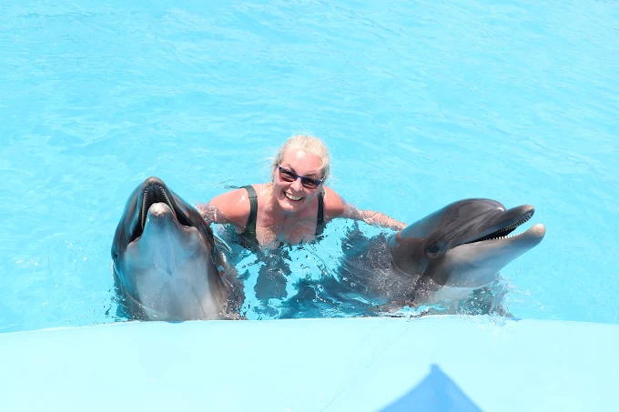 عروض الدولفين في الغردقة | Dolphin Show Hurghada