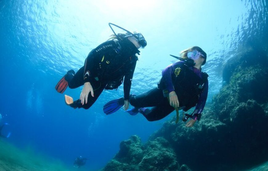 رحلة الدايفينج في الغردقة | Diving in Hurghada
