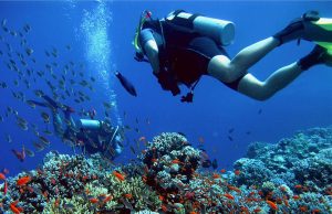 رحلة الدايفينج في الغردقة | Diving in Hurghada