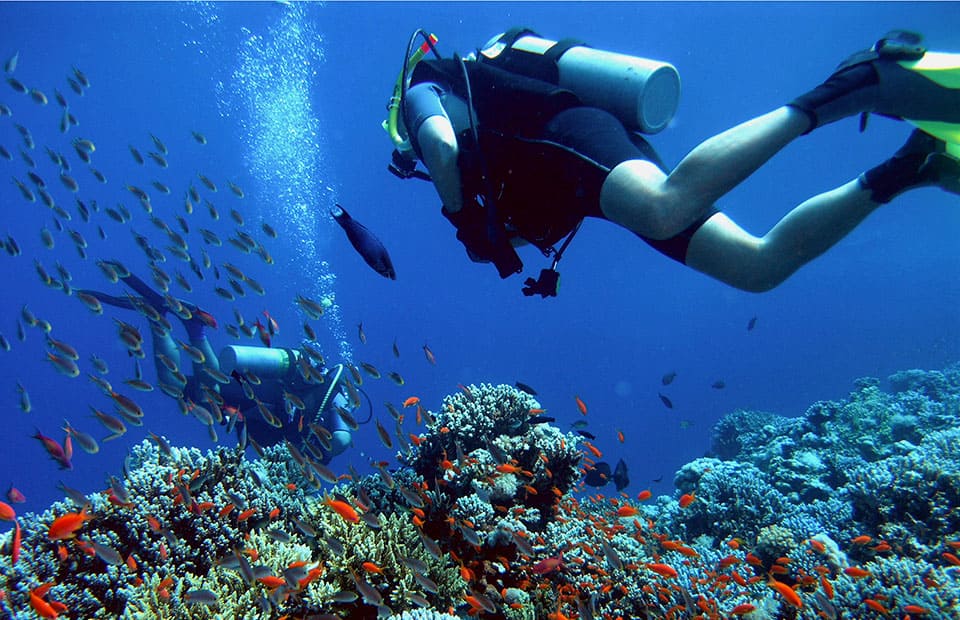 رحلة الدايفينج في الغردقة | Diving in Hurghada