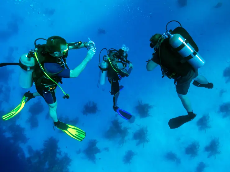 رحلة الدايفينج في الغردقة | Diving in Hurghada