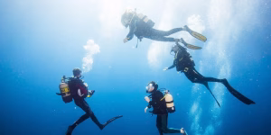 رحلة الدايفينج في الغردقة | Diving in Hurghada