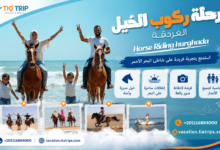ركوب الخيل في الغردقة | Horse Riding in Hurghada