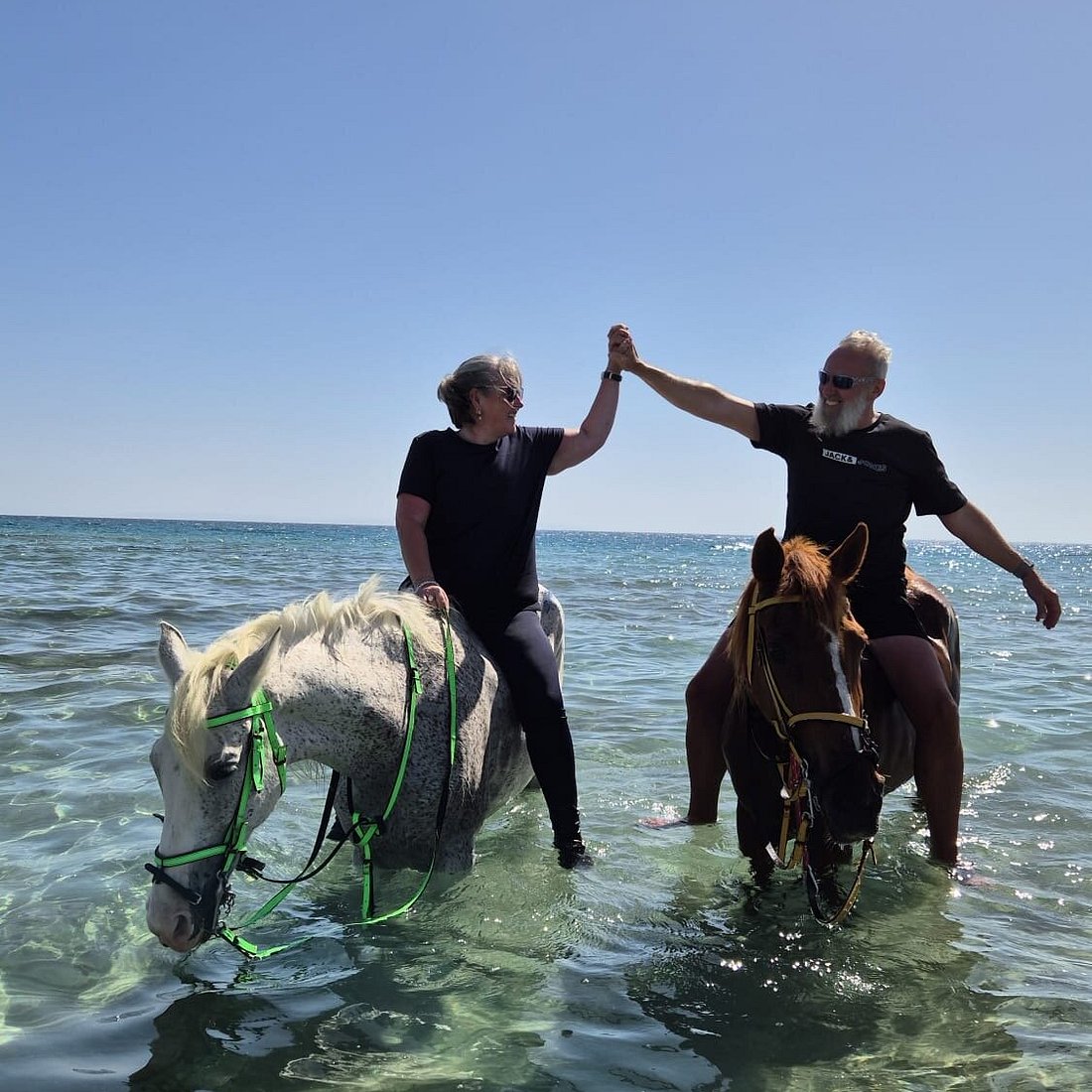 ركوب الخيل في الغردقة | Horse Riding in Hurghada 