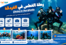 رحلة الدايفينج في الغردقة | Diving in Hurghada