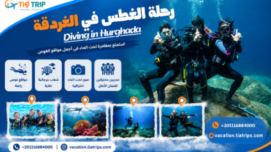 رحلة الدايفينج في الغردقة | Diving in Hurghada