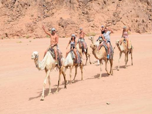 ركوب الخيل في الغردقة | Horse Riding in Hurghada رحلة ركوب الخيل في الغردقة | Horse Riding in Hurghada